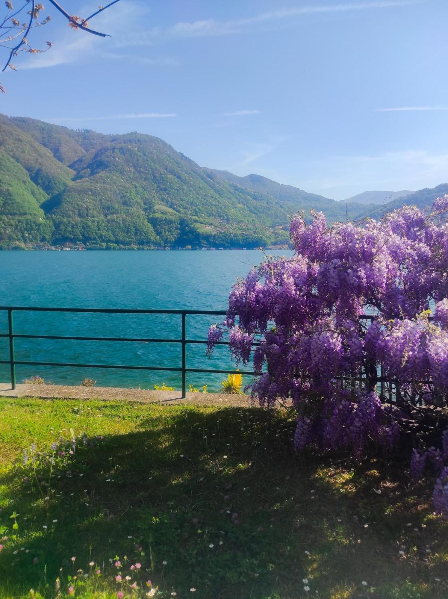 Lfsuite Luganolake Terrazza Spiaggia Privata Parking Wi-Fi Netflix Porlezza Buitenkant foto